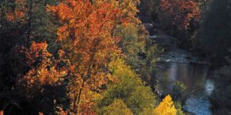 fall-in-oak-creek