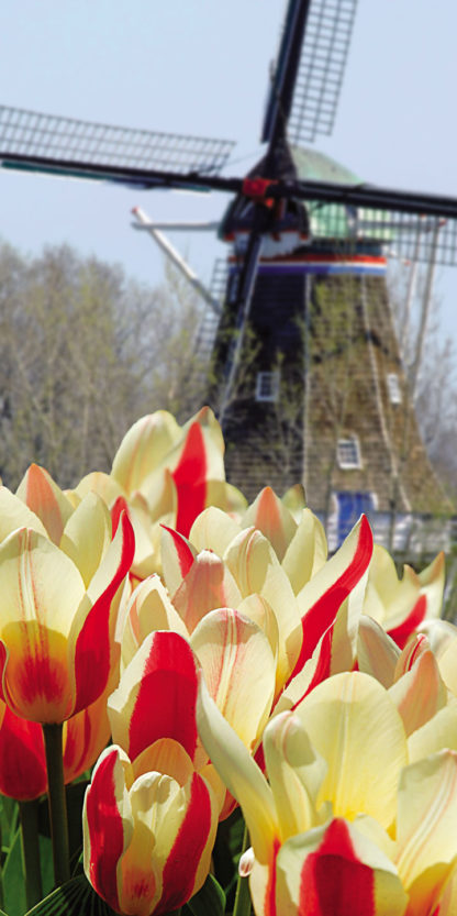 holland-michigan-windmill
